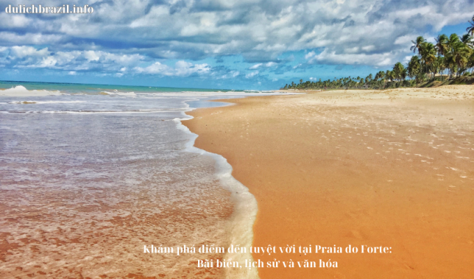 Read more about the article Khám phá điểm đến tuyệt vời tại Praia do Forte: Bãi biển, lịch sử và văn hóa