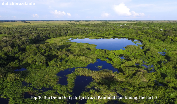 Read more about the article Top 10 Địa Điểm Du Lịch Tại Brazil Pantanal Bạn Không Thể Bỏ Lỡ